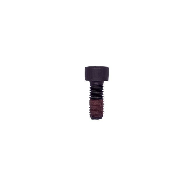 (366) IAME Allen Screw M6X16 Tecnic 150