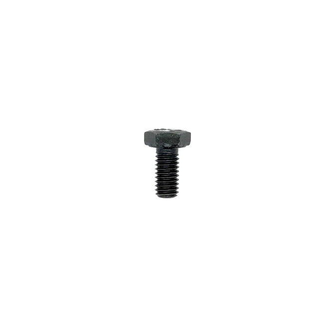 (80) IAME Hex Head Screw M6X12