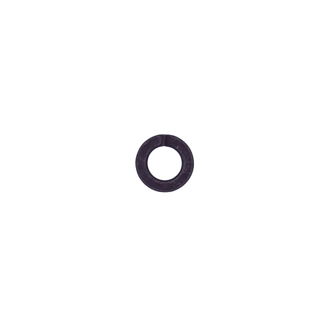 (401 | 461) IAME Spring Washer M8