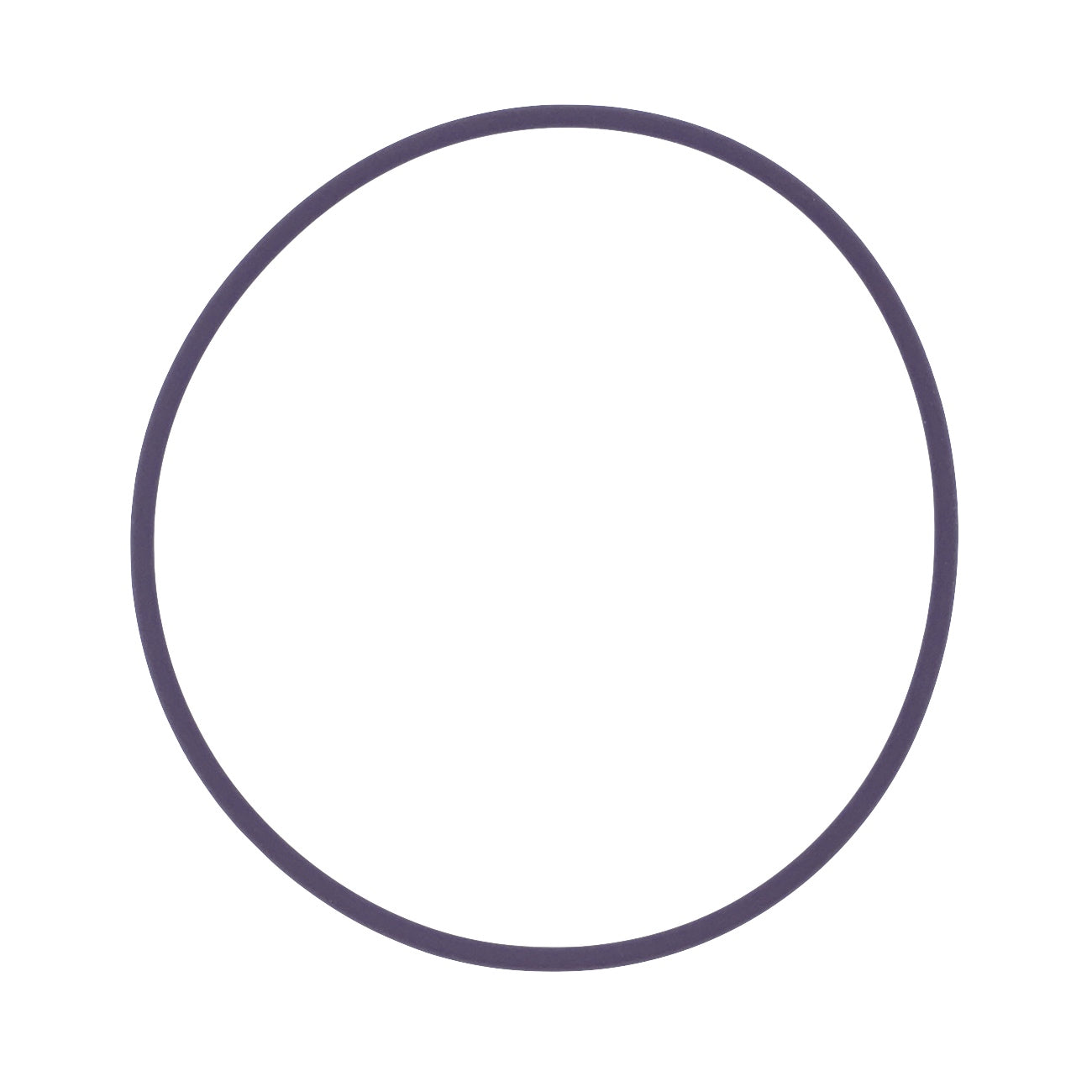 (8) IAME Head O-Ring - Outer