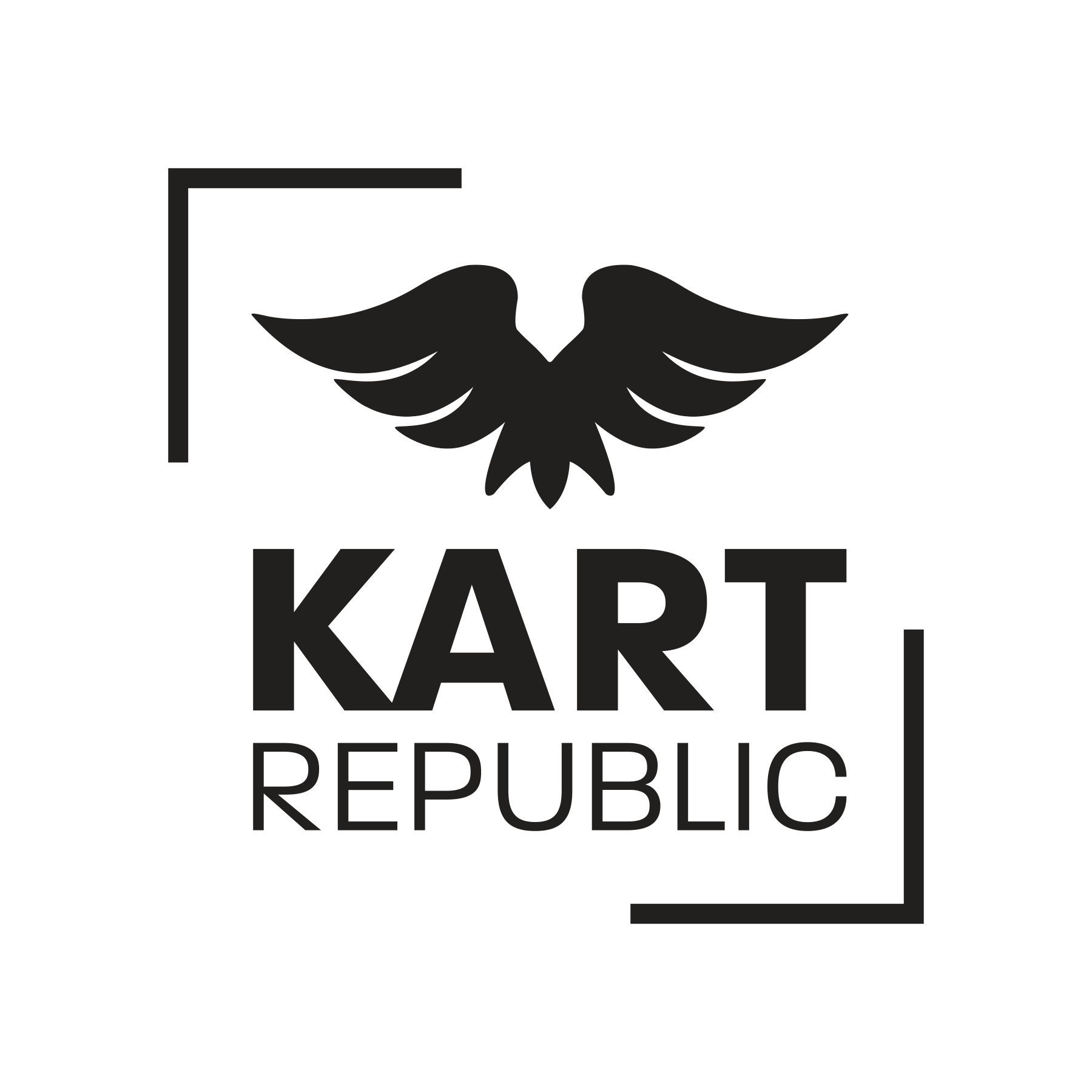 Kart Republic Kart KR1 KZ