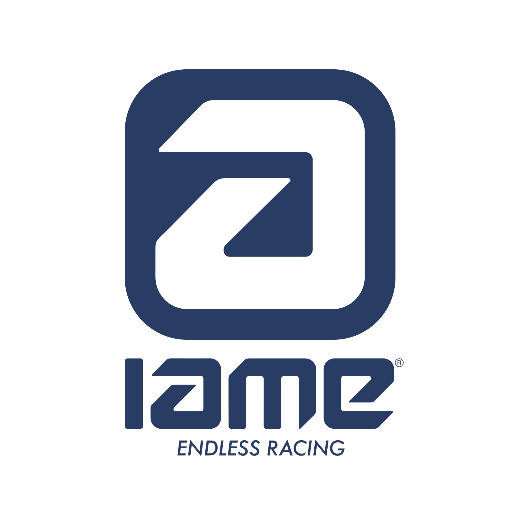 (361A) IAME Clutch Group 12T KA100 / X30