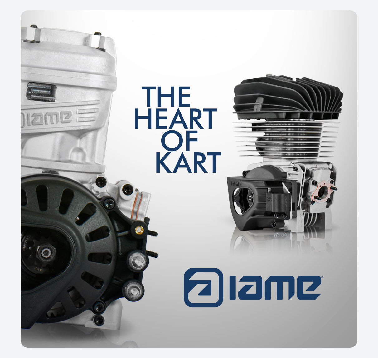 IAME Kart Engines | High performance kart racing engines | Go Kart Engines