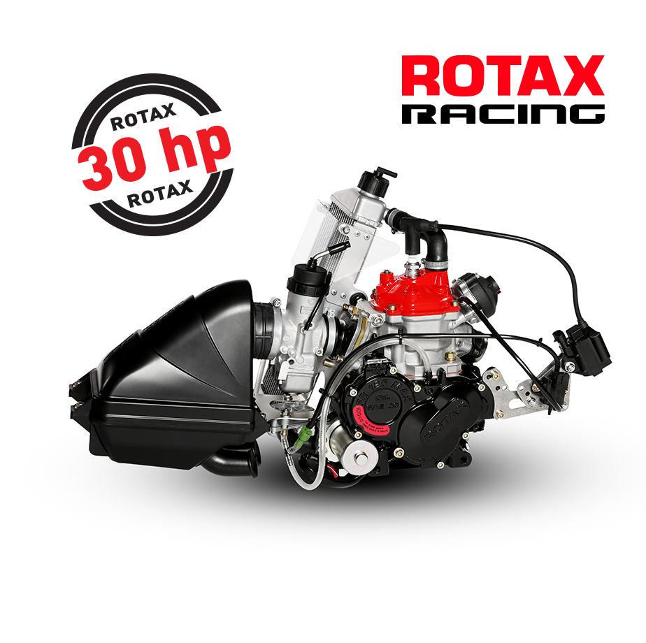 ROTAX 125 Senior Max Evo Engine Kit