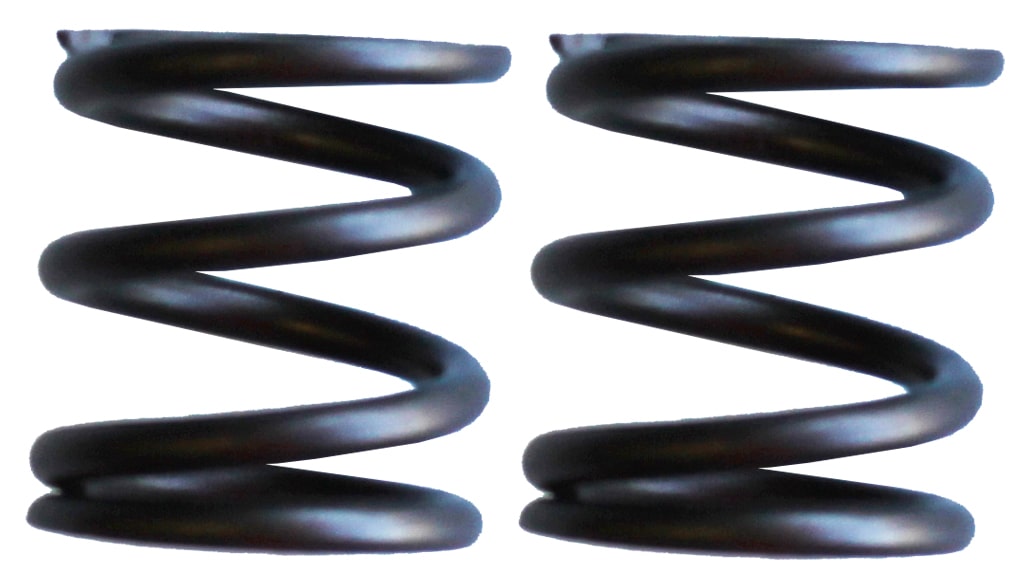 Torini 4S Valve Springs - Pair
