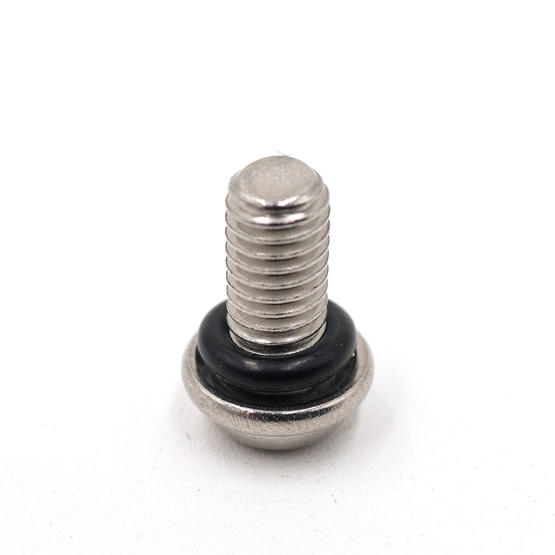 DWT Wheel Bead lock Screw 10mm & Oring