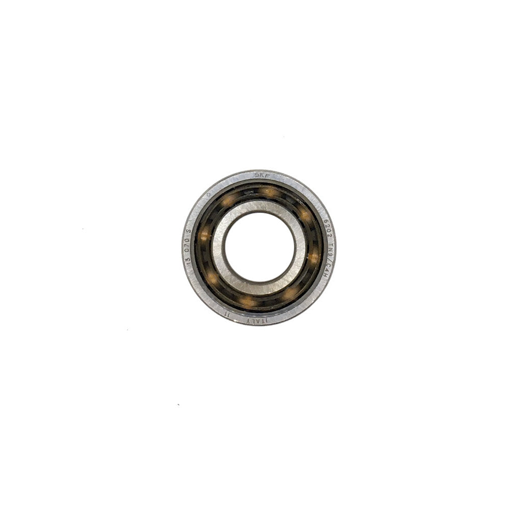 (120) IAME Ball Bearing 6202