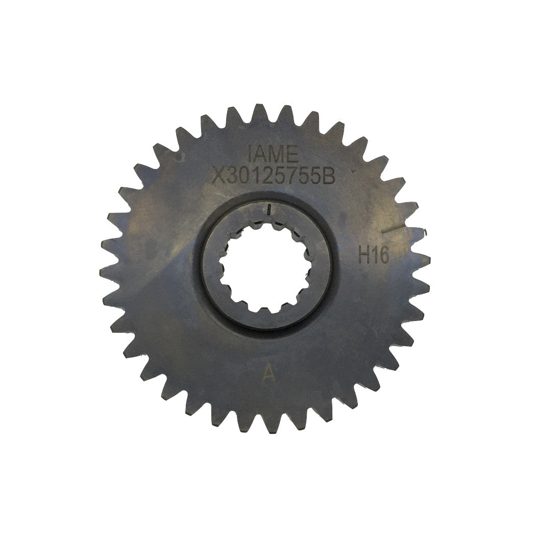 (124) IAME Balance Shaft Gear