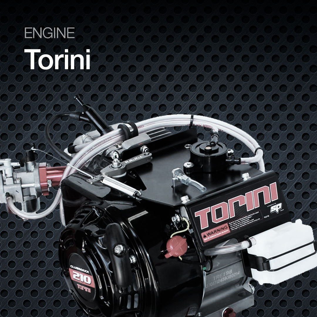 Go Kart Engines | Torini Kart Racing Engine | 4-Stroke Karting