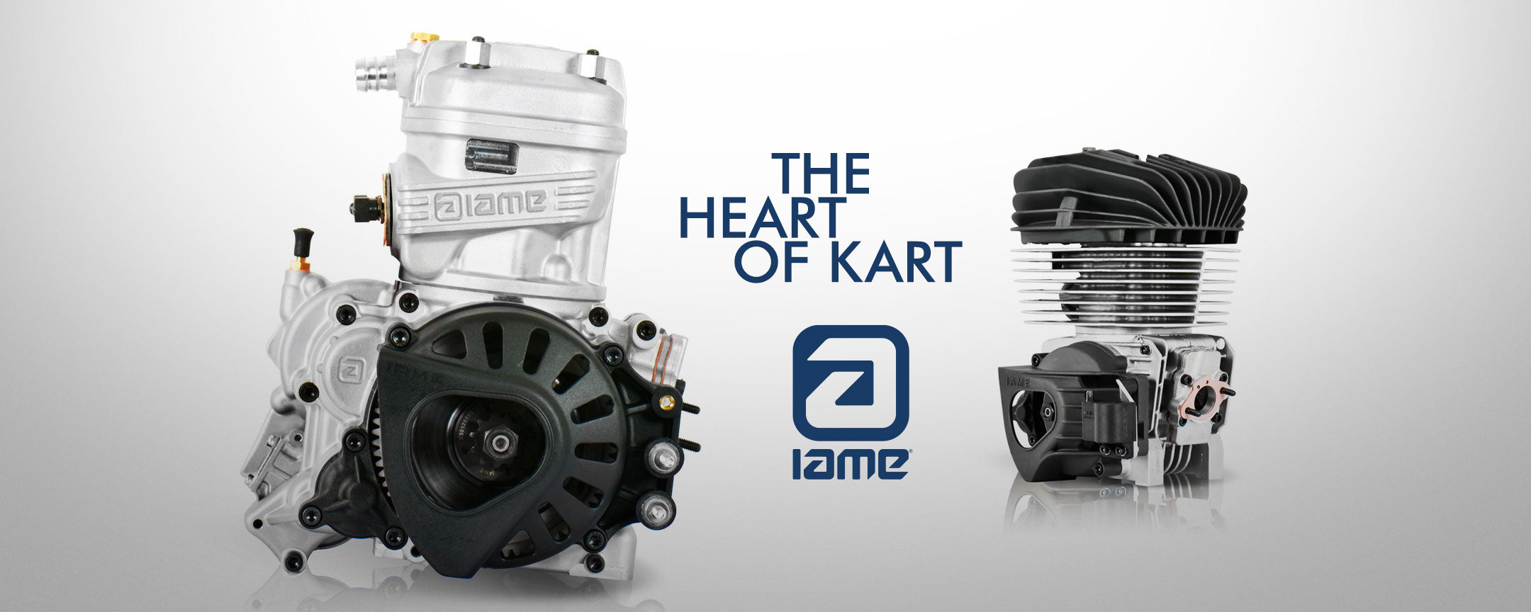 IAME Kart Engines | High performance kart racing engines | Go Kart Engines