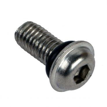 DWT Wheel Bead lock Screw 10mm & Oring